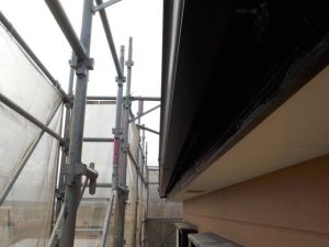 これは最新情報のダミーテキストです。